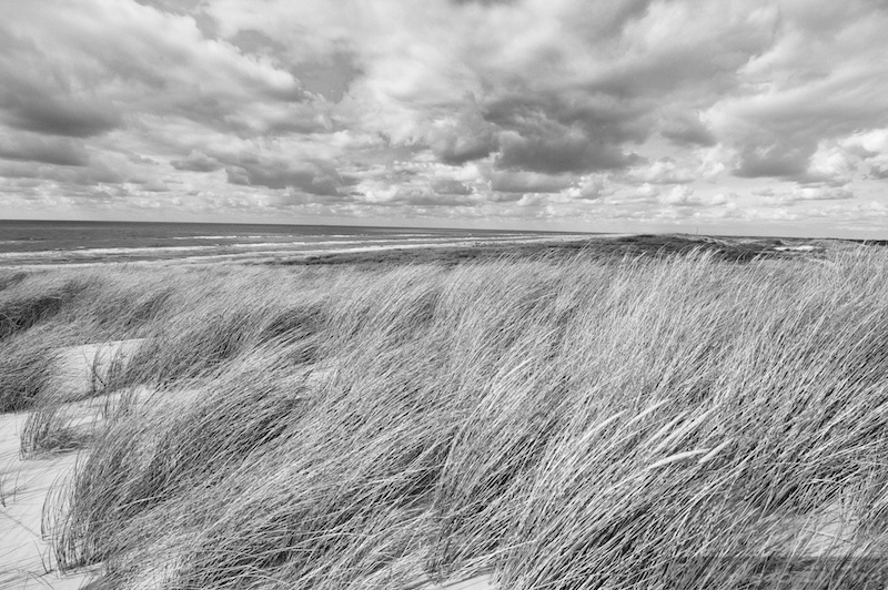 Racing clouds and grass in the Dutch North sea dunes