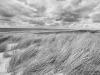 Racing clouds and grass in the Dutch North sea dunes